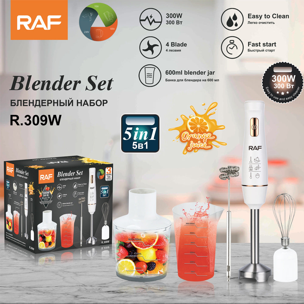 RAF EU Standard Portable Household Electric Stainless Steel Cooking Stick Blender Food Mixer 5-in-1309