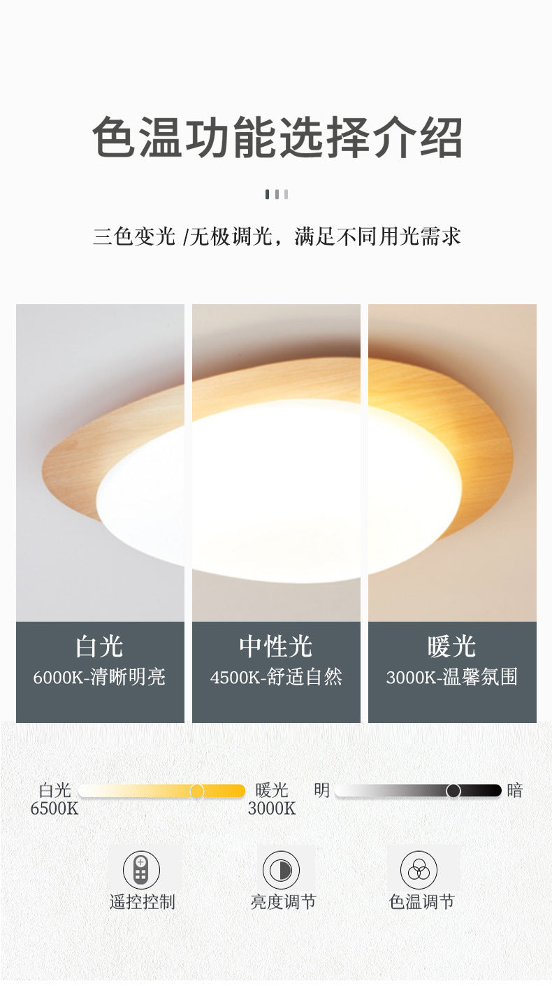 French Vintage Style Bedroom Ceiling Light Modern Simple Walnut Living Room Light Iron Art Water Transfer Printing Study Light Wholesale