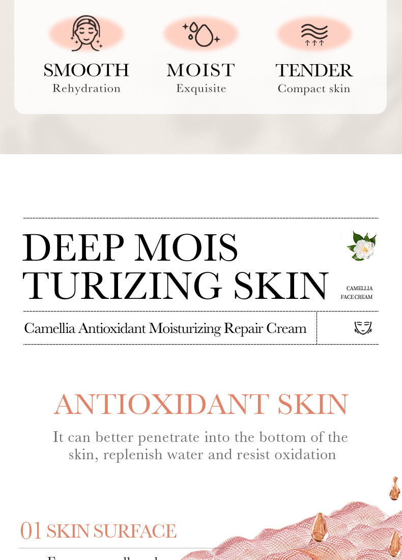 Camellia Face Cream BIOAOUA Hydrating, moisturizing, refreshing, non-sticky moisturizing cream cross-border foreign trade wholesale