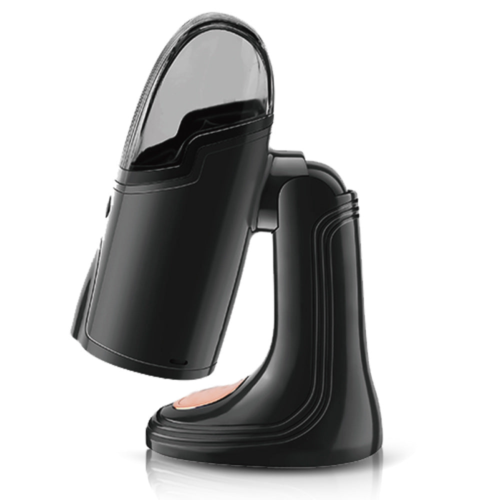 RAF EU Standard Handheld Electric Iron Steam Small Household Garment Steamer Mini Ironing Machine Garment Steamer Iron