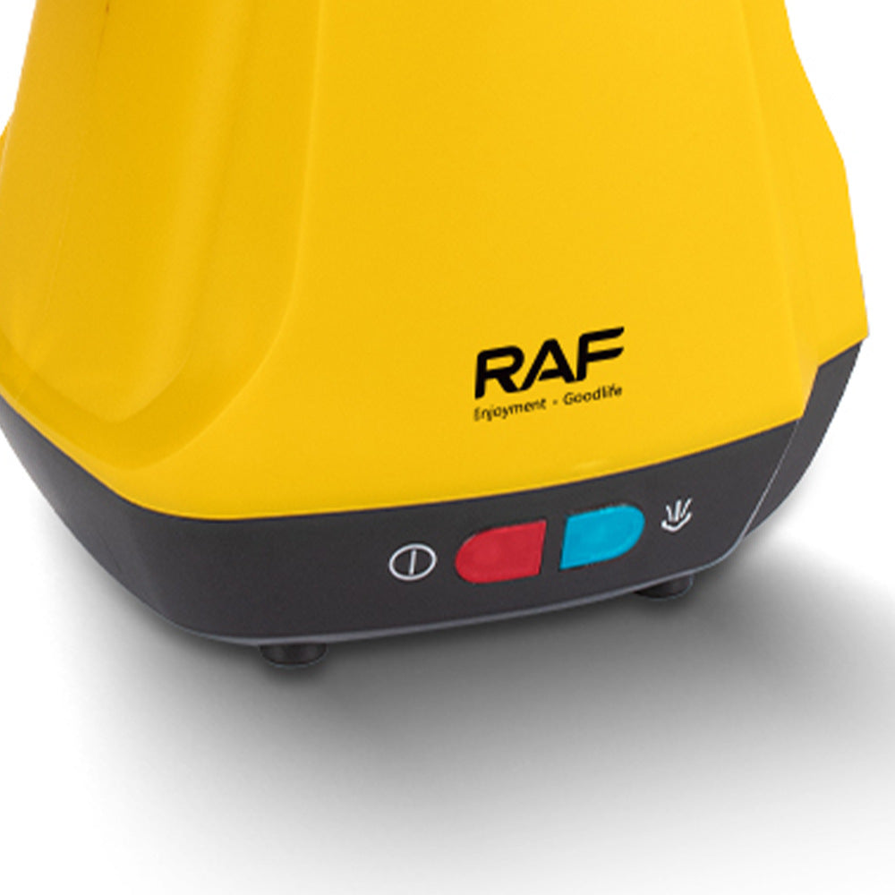 RAF European Standard Handheld Household Steam Cleaner Oil Removal High Temperature Multi-Functional Portable High Temperature Steam Cleaner