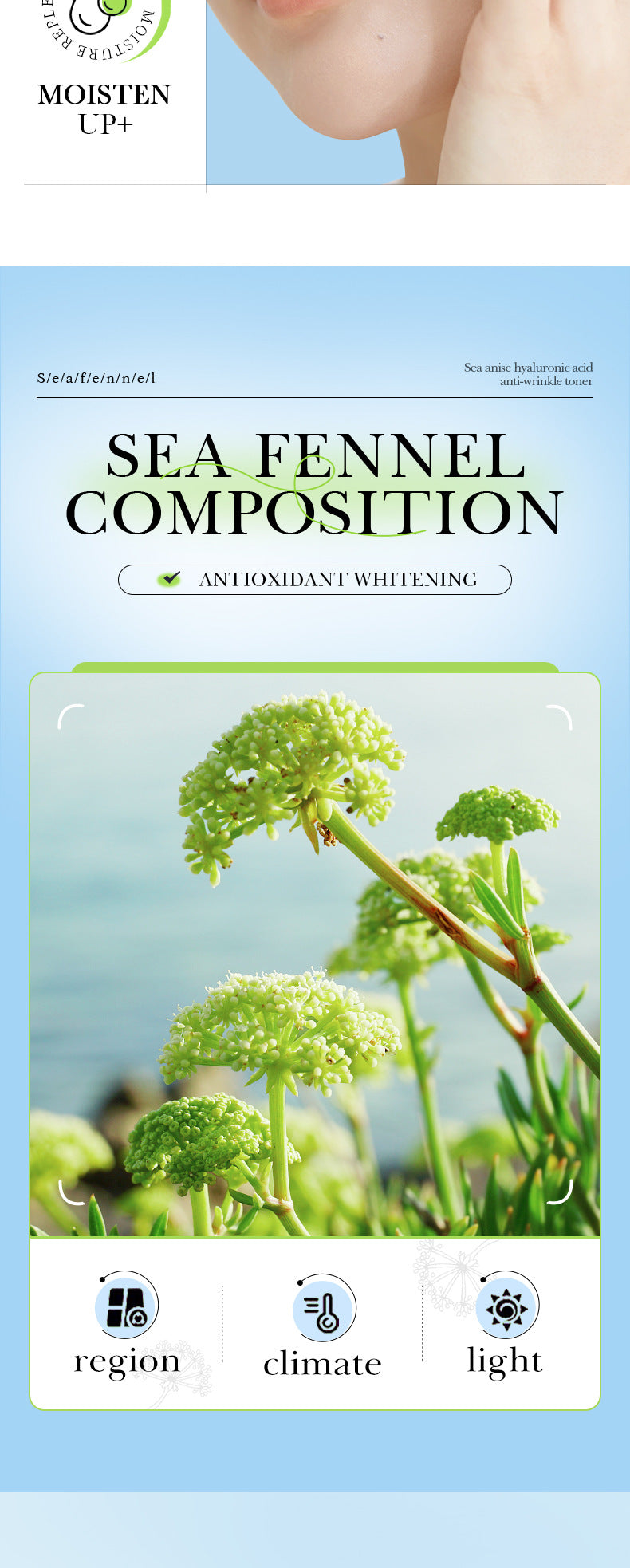 Sea Fennel Hyaluronic Acid Skin Care Set  BIOAOUA Moisturizing Five-Piece Set Cross-Border Wholesale